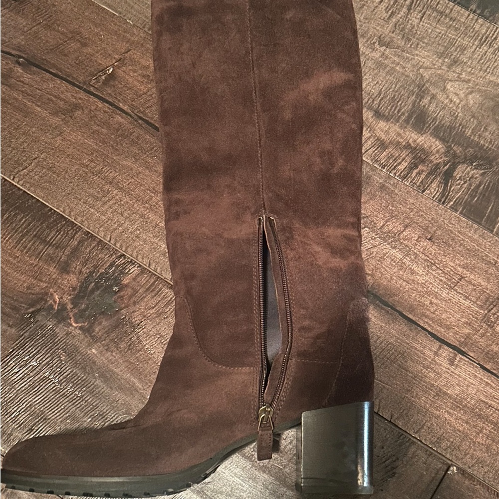 Aquatalia Brown Suede Knee-High Boots